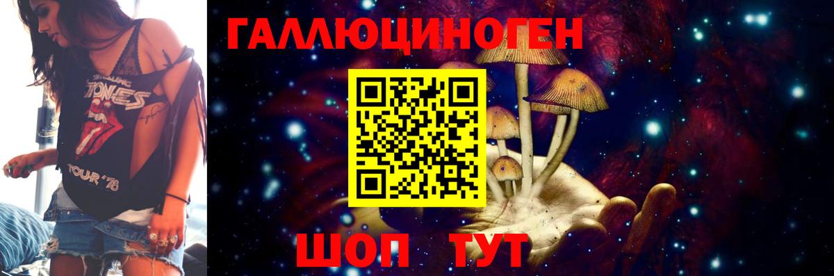 Псилоцибиновые грибы Cubensis Шахты
